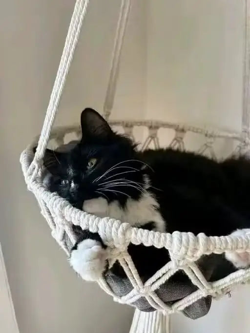 Macrame Hanging Cat Hammock Bed with Soft Cushion | Cozy Boho Elevated Bed for Indoor Cats